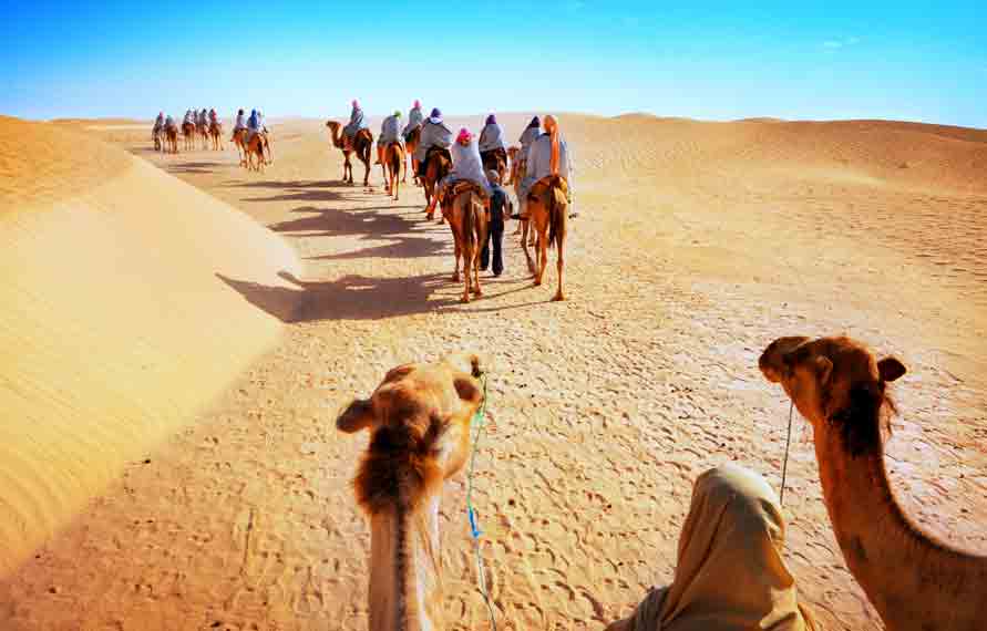 11 Days Enchanting Rajasthan Tour