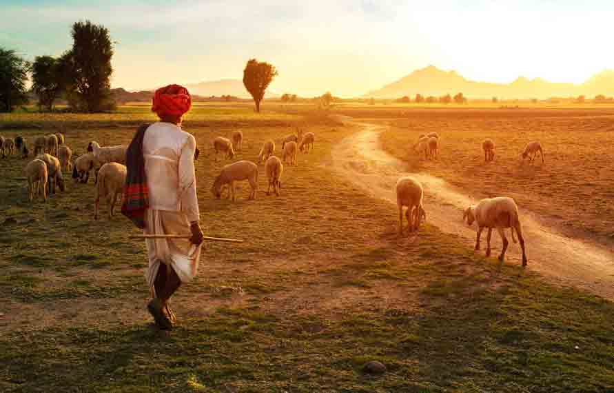 17 Days Rural Rajasthan Tour